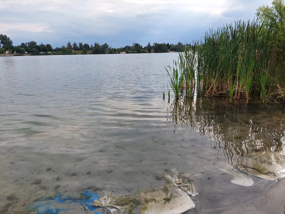 20220707_172322.jpg - Wykladowca
