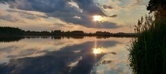 20210605_193116.jpg