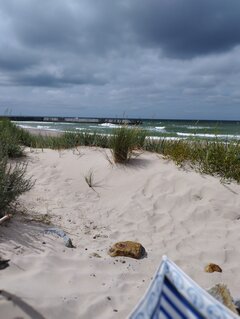 IMG_20220708_143344.jpg