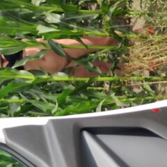 IMG_20220709_113803.jpg