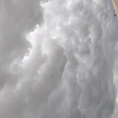 20220710_152356.jpg