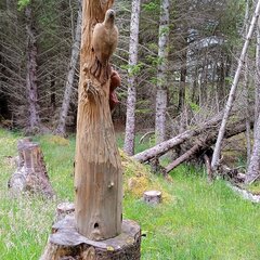 IMG_20220703_192403_769.jpg