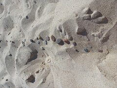 20220712_105118.jpg