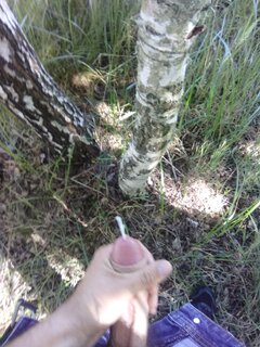 IMG_20220711_161421.jpg