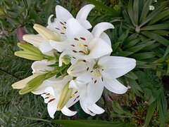 IMG_20220712_194553.jpg