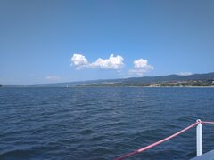 IMG_20220701_112058.jpg