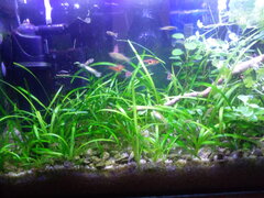 IMG_20220127_152844.jpg