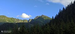 IMG_20220714_180319.jpg