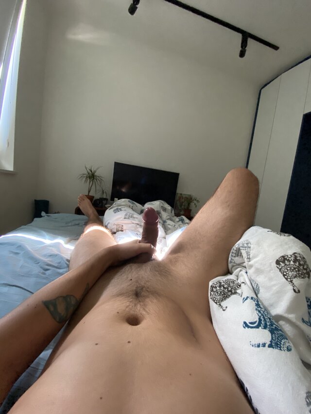 Bonobo91