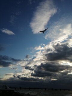 IMG_20220714_195132.jpg