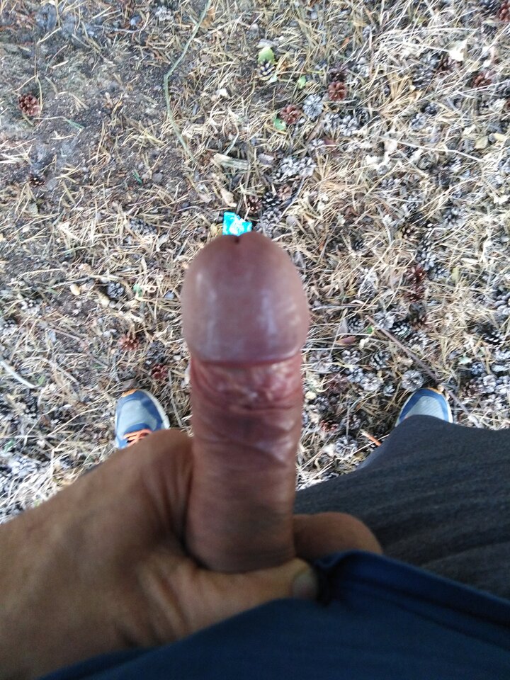16579936615427631406580154942946.jpg - eroteooo