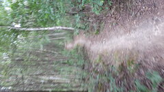 20220716_124733.jpg