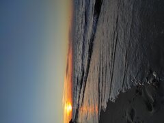 IMG_20220704_211833.jpg