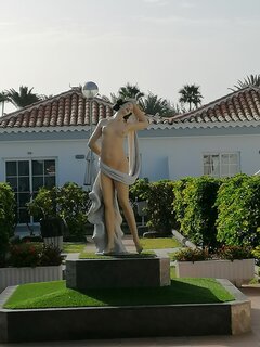 IMG_20220717_091503.jpg