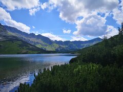 IMG_20220715_151155.jpg