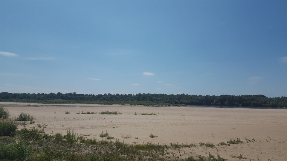 20220719_125539.jpg - SpragnionyTeraz