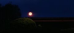 20220714_034259.jpg
