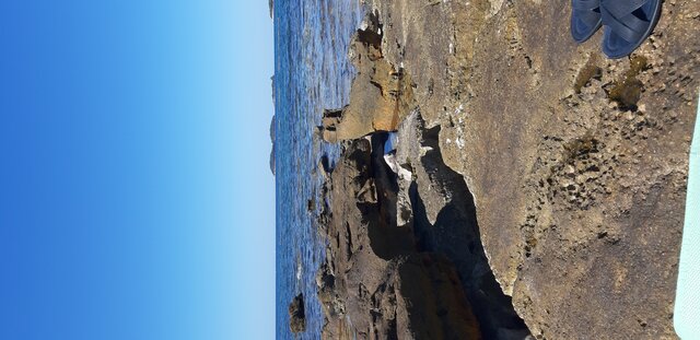 Beibiblu
