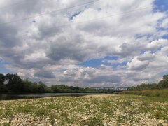 IMG_20220716_132331.jpg