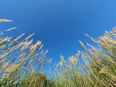 20220720_181747.jpg