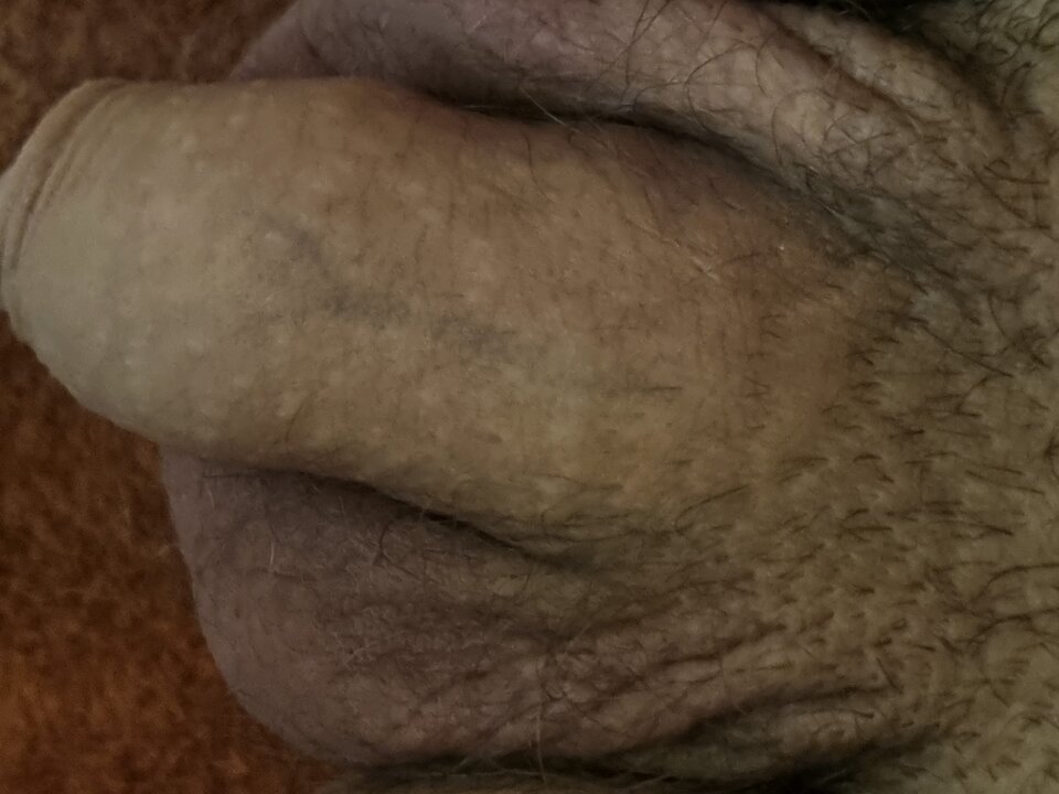 16584088992762824180094654412223.jpg - tomi1111
