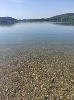 IMG_20220721_083703.jpg