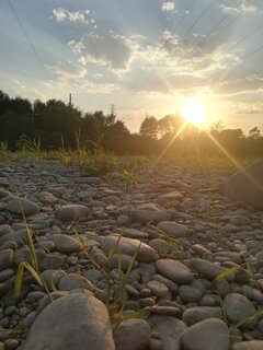 IMG_20220722_193021.jpg