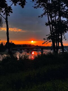 IMG_20220722_201240.jpg