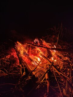 IMG20220723214530.jpg