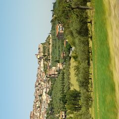 20220724_112027.jpg