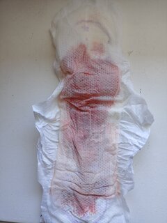 IMG20220725061755.jpg