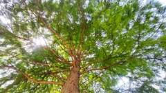 IMG_20220725_123754.jpg