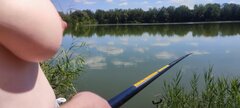 IMG_20220725_135410.jpg