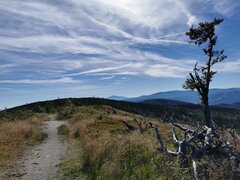 IMG_20220725_092239.jpg