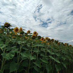 20220718_130152.jpg