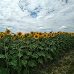 20220718_130220.jpg