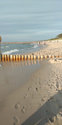 IMG_20220724_194904.jpg
