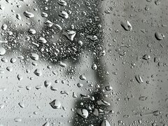 1E117180-64E7-4D26-8E5F-60811A56C740.jpeg