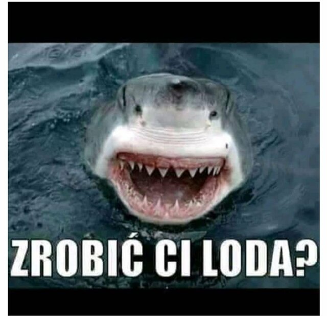 gustawff