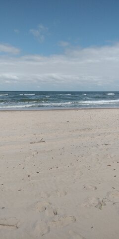 IMG_20220728_122142.jpg