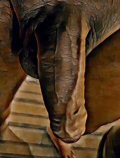 20220729-171714_Gallery.jpg