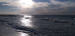 20220729_191654.jpg