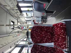 IMG_20220729_171619.jpg