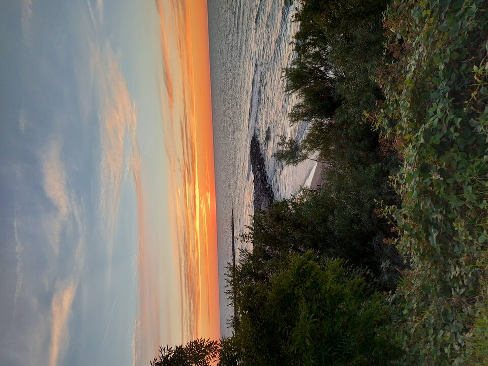 20220730_210102.jpg - A7REPPU