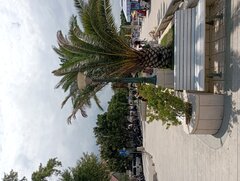 IMG_20220730_115957.jpg