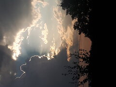 20220722_192229.jpg