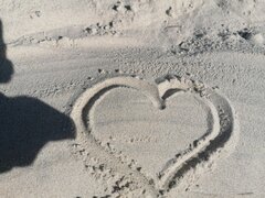 IMG_20220729_162948.jpg