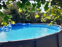 20200627_115927.jpg