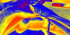 IMG_20220123_224742.jpg