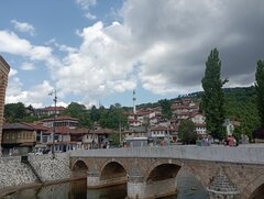 IMG_20220731_121734.jpg